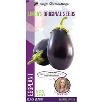 Linda's Seeds Eggplant black beauty